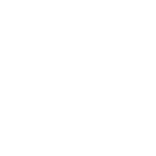 Ropes Course