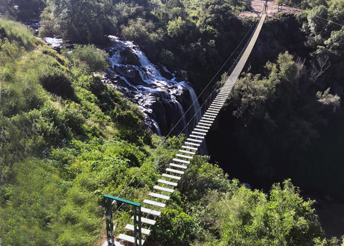 Puentes Colgantes
