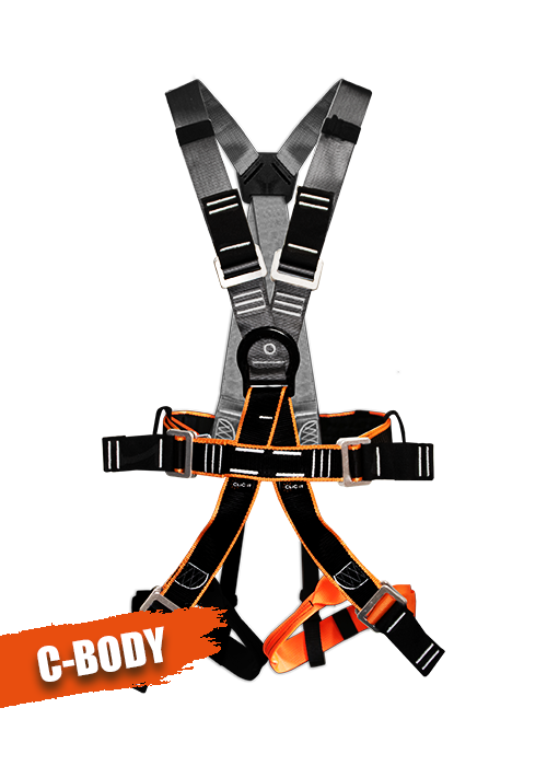 C-Body Color
